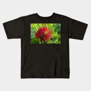 Red Bottlebrush Flower Kids T-Shirt